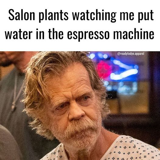 Funniest Hair Stylist Meme's